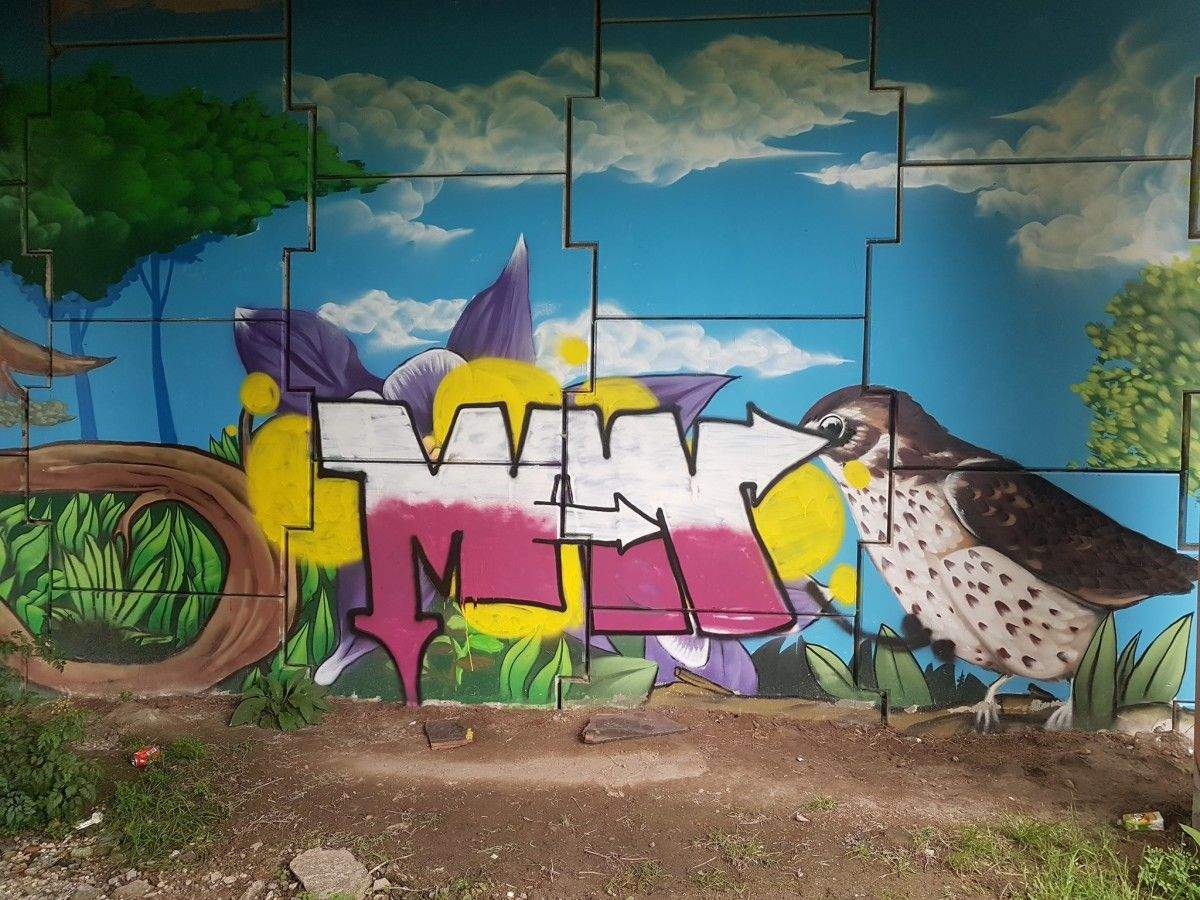 Pintada en el mural creado por O'Ras en la zona del Gafos