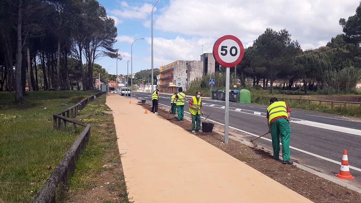 Traballos de axardinamento na senda da PO-308