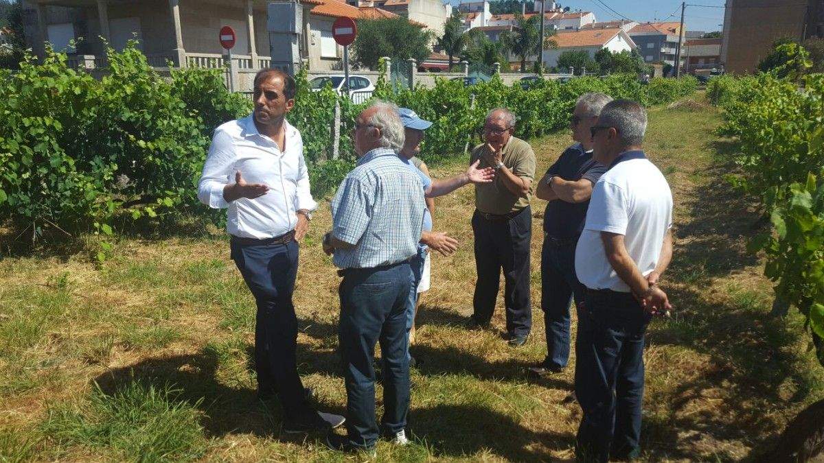 Ángel Moldes, acompañado por membros do PP de Poio, visitan unha parcela á venda cerca do centro de saúde de Anafáns