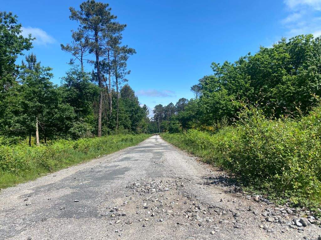 Estado da pista que dá acceso ao lugar de Outeiro na parroquia de Bemil (Caldas de Reis)