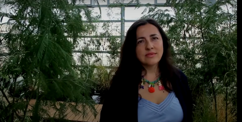 A arquitecta de Cerdedo-Cotobade Cristina García Fontán