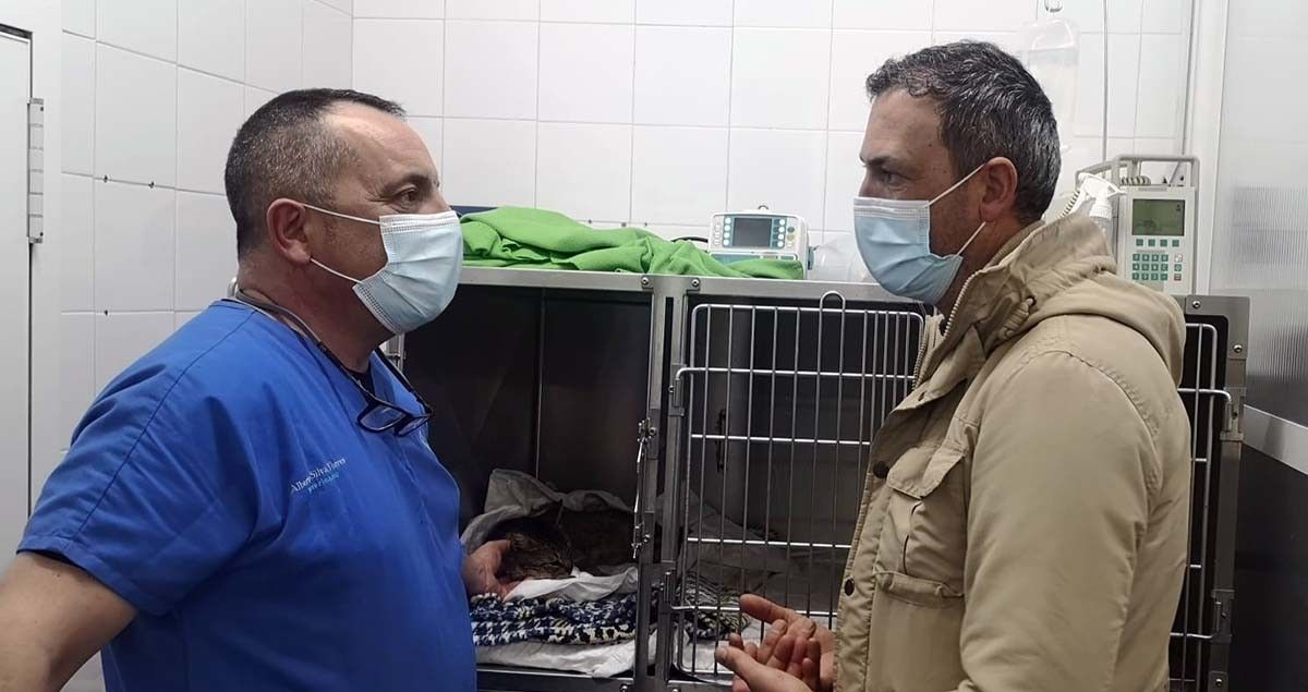 O edil de Benestar Animal, Marcos Rey, tras a esterilización dun gato