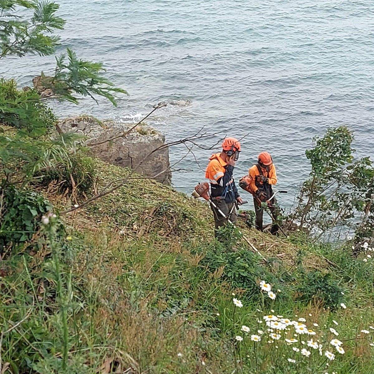 Desbroce en Portocelo