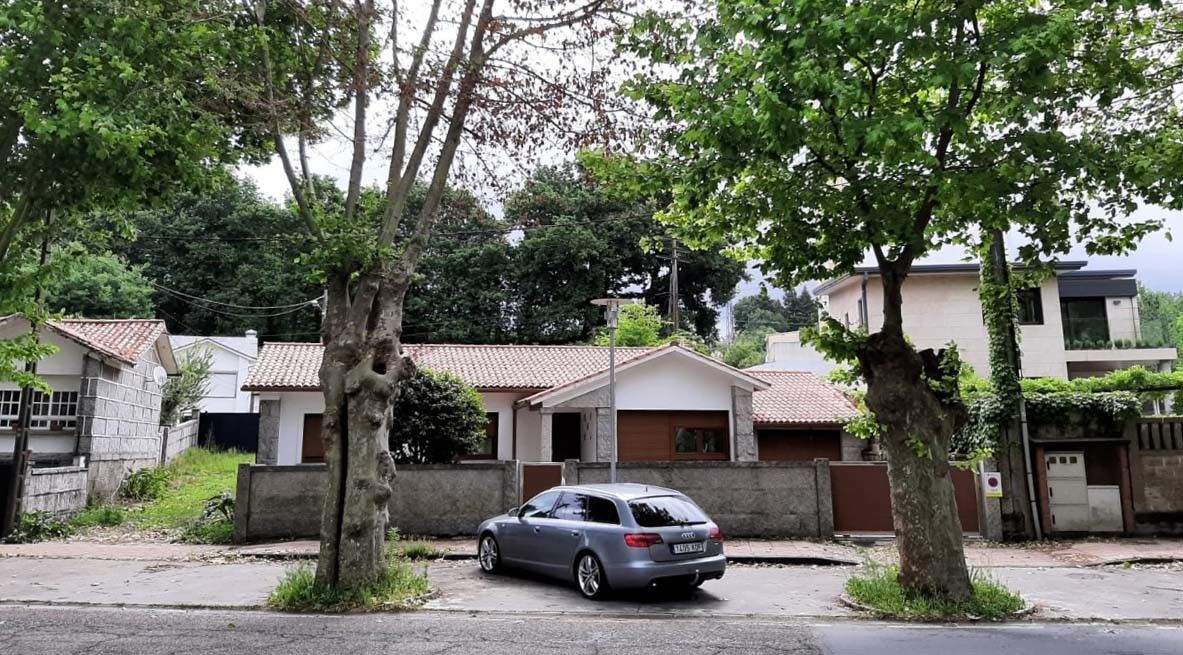 Plátanos da Avenida de Bos Aires secos despois dunha agresión