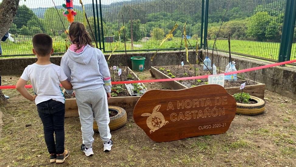Horta ecolóxica no colexio de Carballedo
