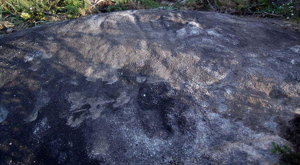 Petróglifo descuberto no Monte Xiabre Petróglifo descuberto no Monte Xiabre