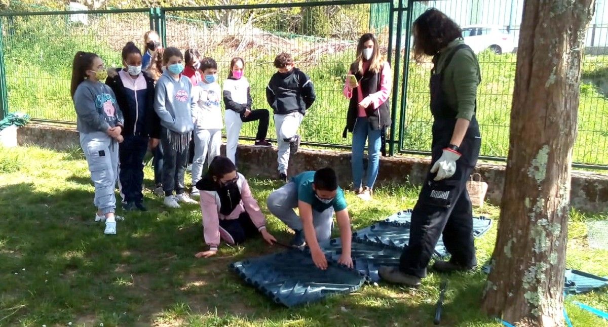 Actividades educativas del Plan Revitaliza