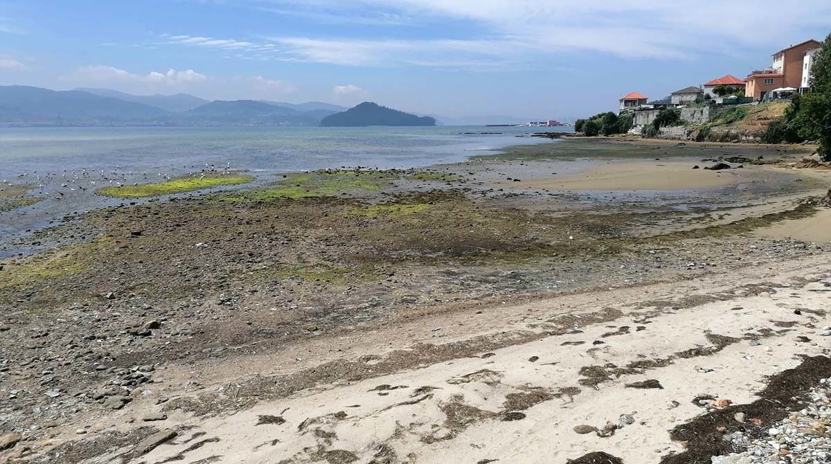 Praia da Seca, que será habilitada como praia canina