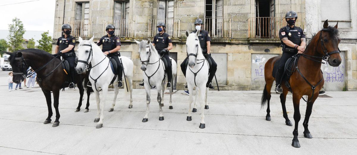 Unidad de Caballería de la Policía Nacional