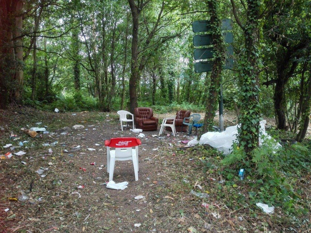 Mobiliario e lixo aparecidos nunha leira de Marín tras a súa roza