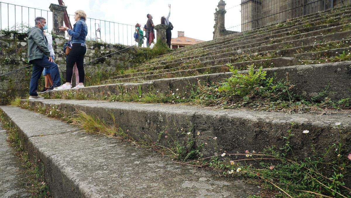 Vexetación asomando nas escaleiras que baixan da Basílica de Santa María á rúa Arzebispo Malvar