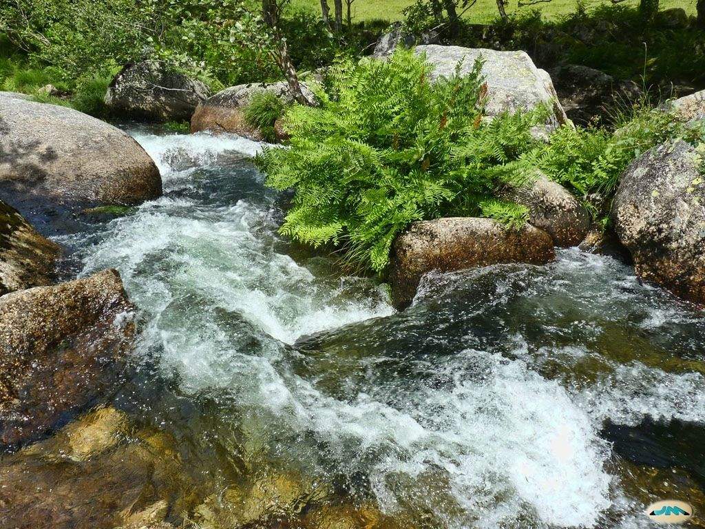 Cauce fluvial