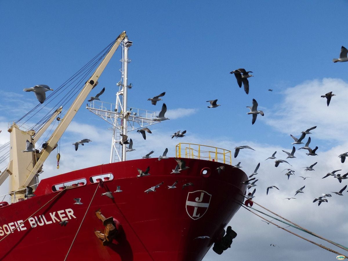 Barco de bandeira extranxeira no Porto de Marín