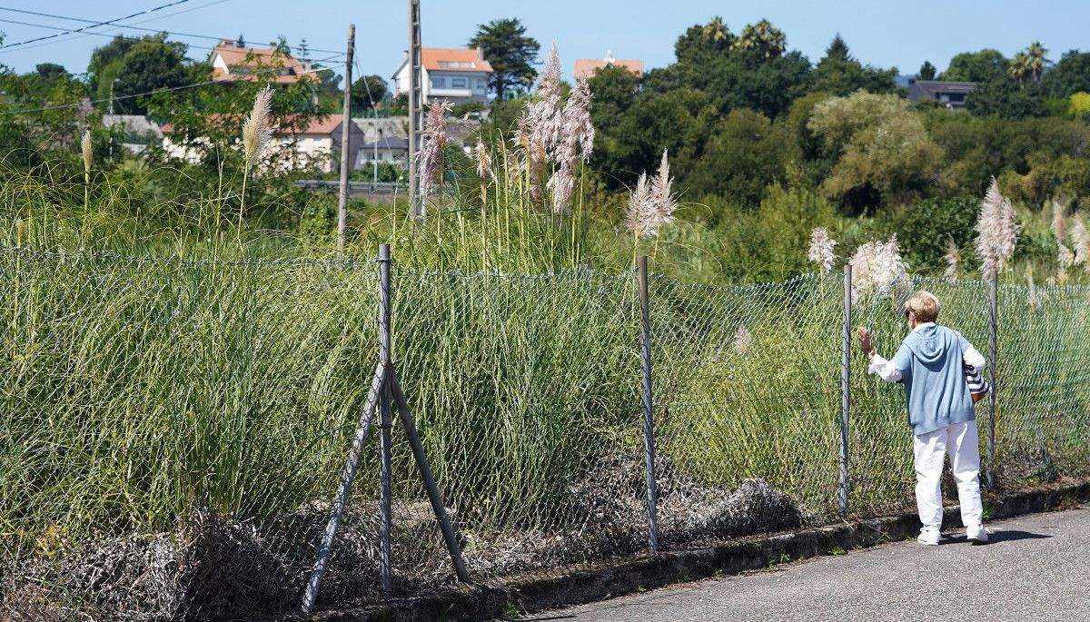 Estado de la Urbanización Fontesanta
