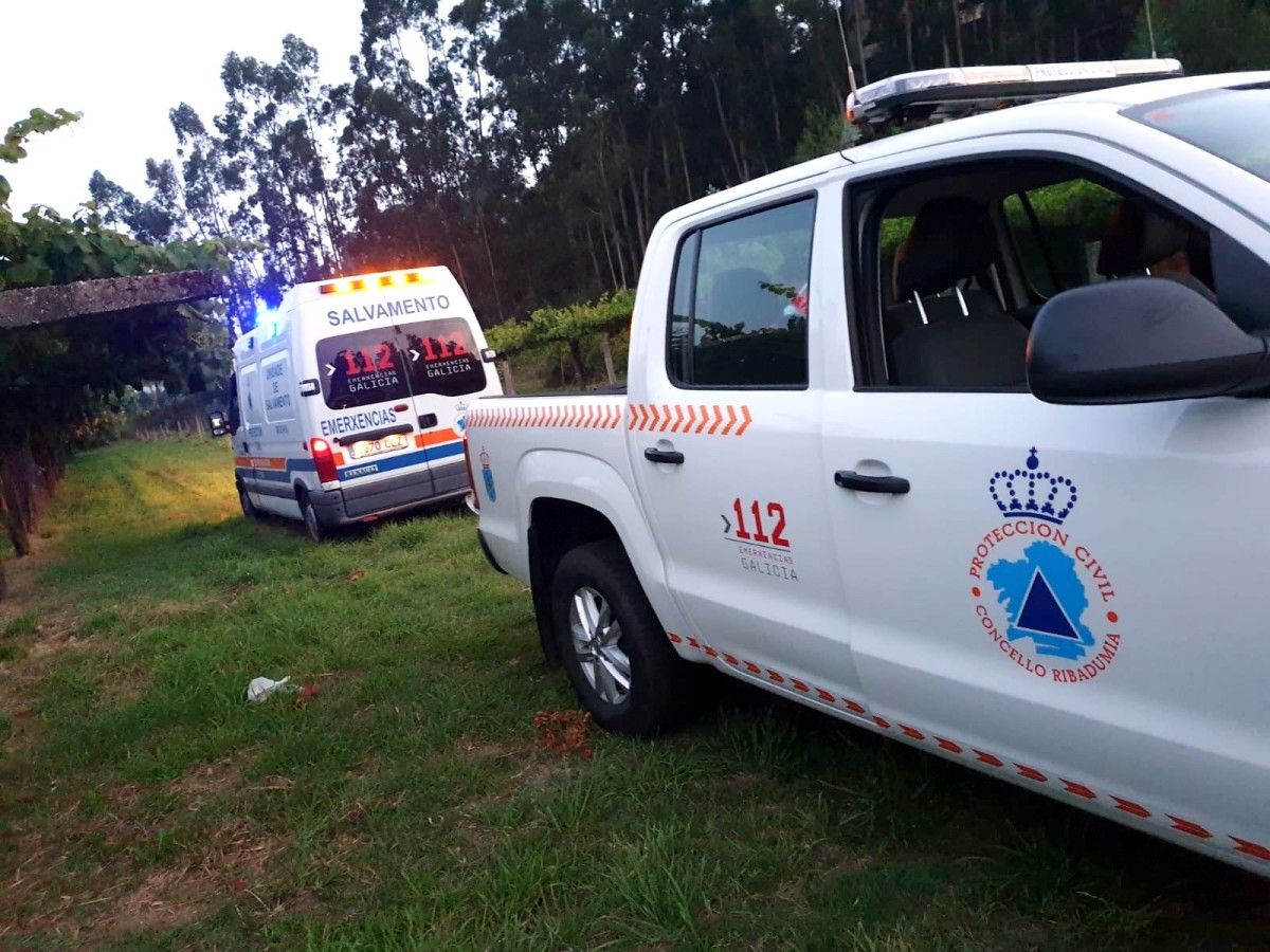 Servizos de Emerxencias de Cambados e Ribadumia colaboraron no rescate do animal