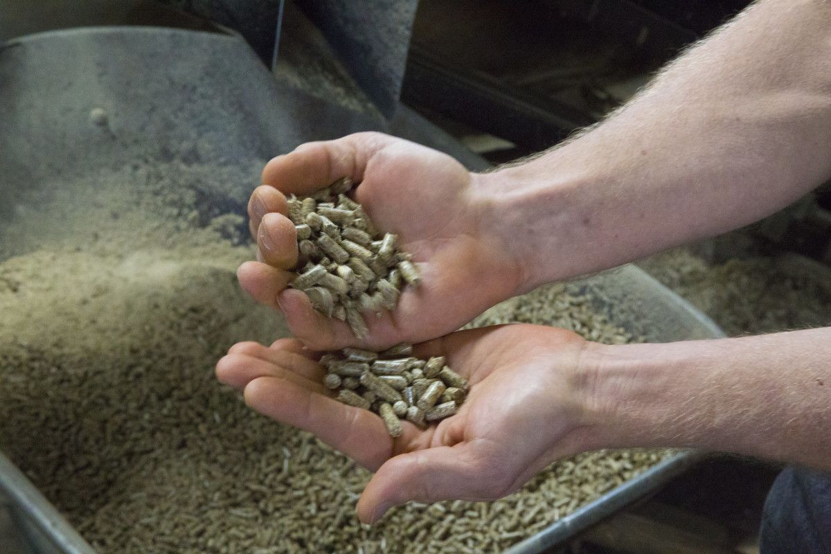 Pellets de biomasa
