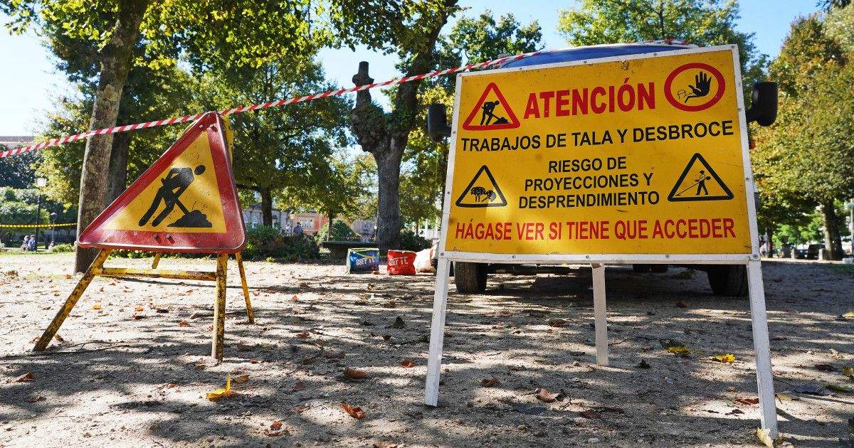 Talla de árbores na Alameda