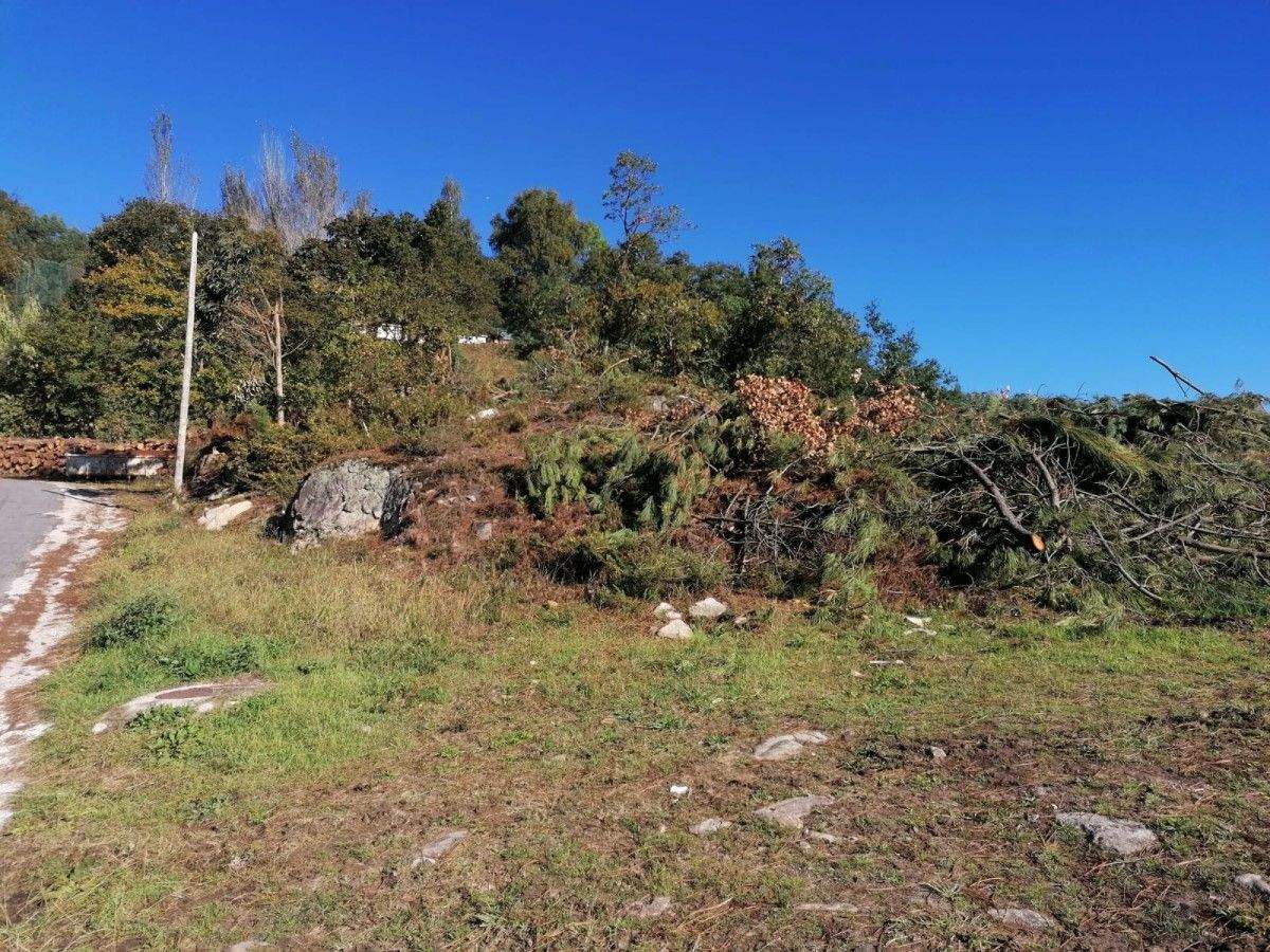 Labores de limpeza na contorna do Monte Baldío, en Raxó