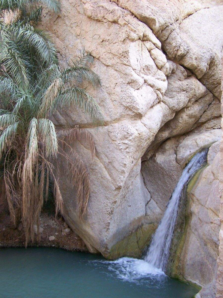 Fervenza do oasis de Chebika