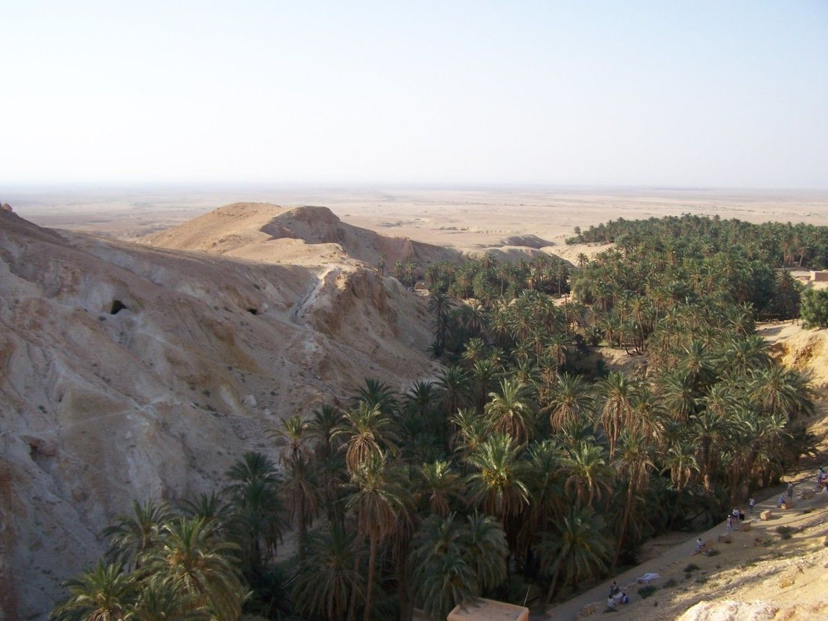 Oasis de Chebika