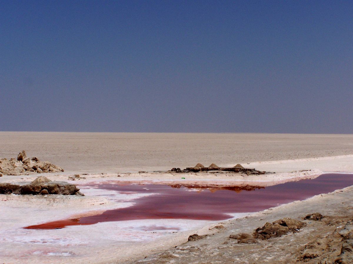 Chott el Jerid