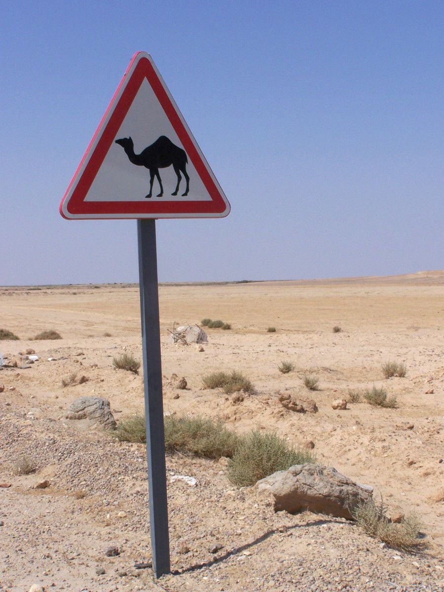 Sinal no deserto