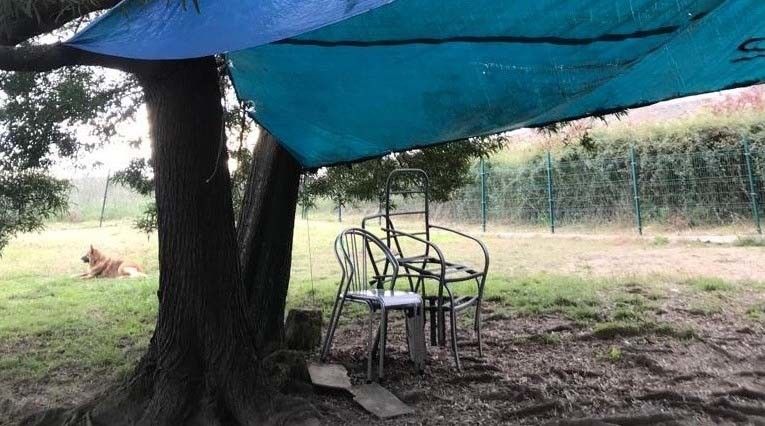 Queixas polo mal estado do parque canino da Xunqueira de Alba