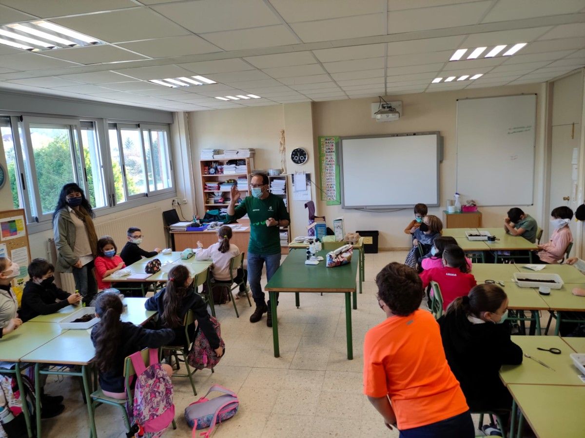 Actividades do Plan Revitaliza de compostaxe da Deputación nun colexio