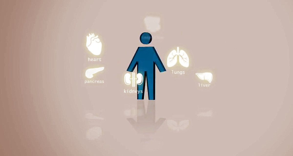Campaña de doazón de órganos