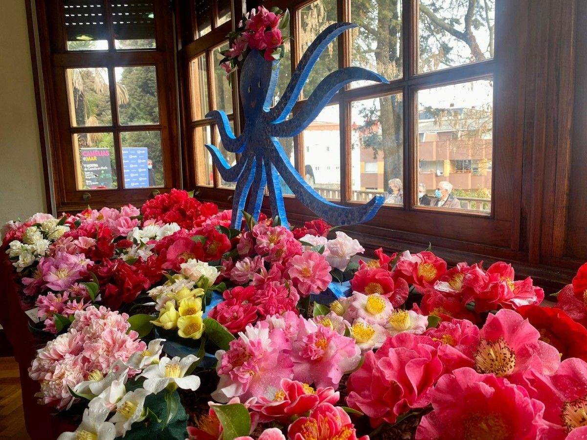V Mostra da Camelia de Marín na Casa Grande da Finca de Briz