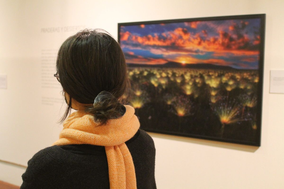 Exposición "Nuestro planeta"