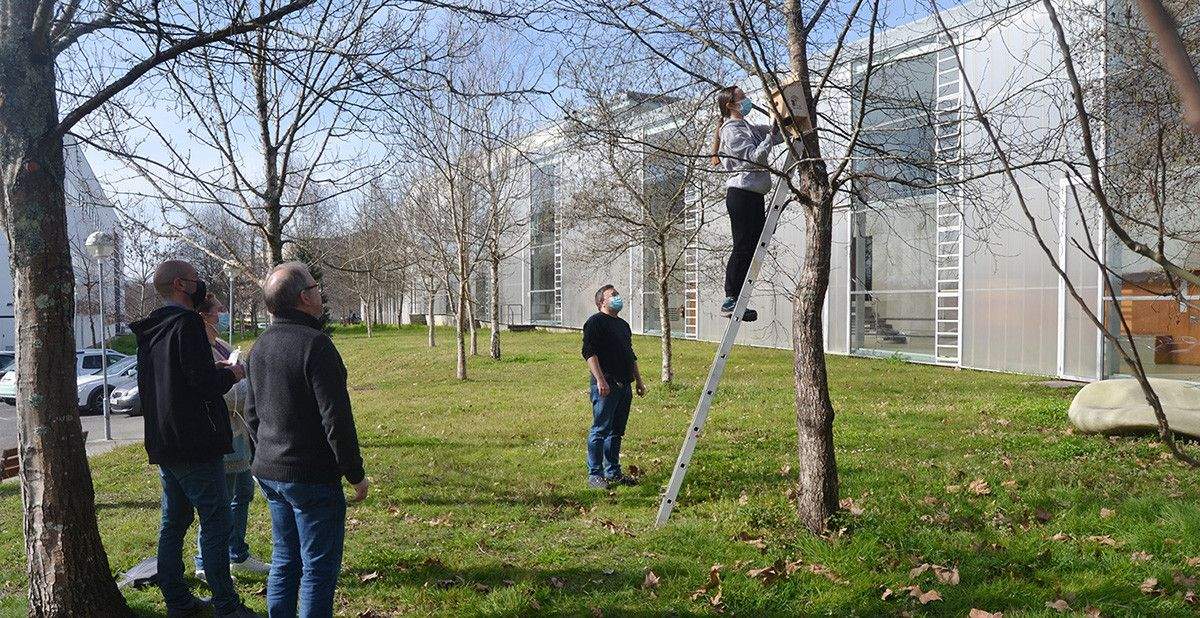 Instalación de cajas nido en el campus de A Xunqueira