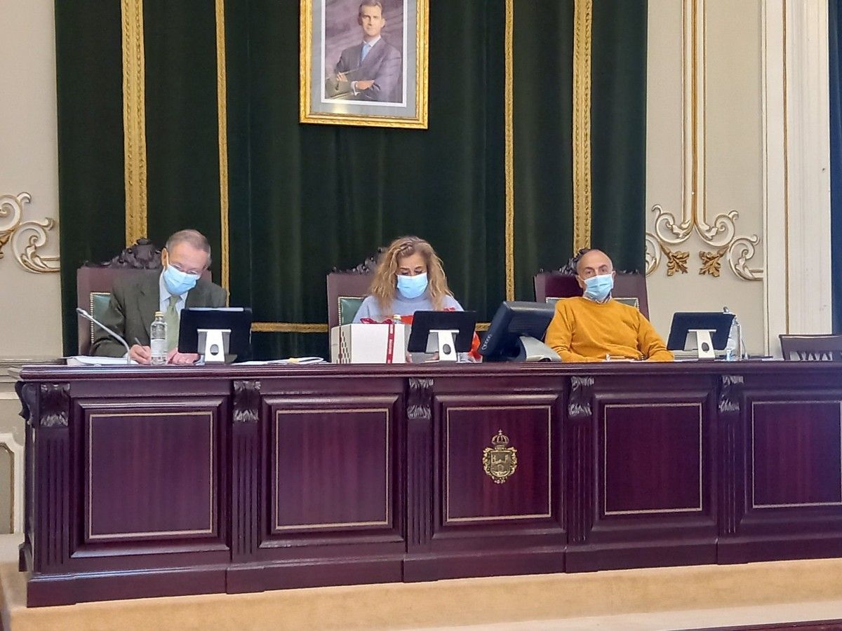 Carmela Silva, presidenta da Deputación, durante a sesión plenaria
