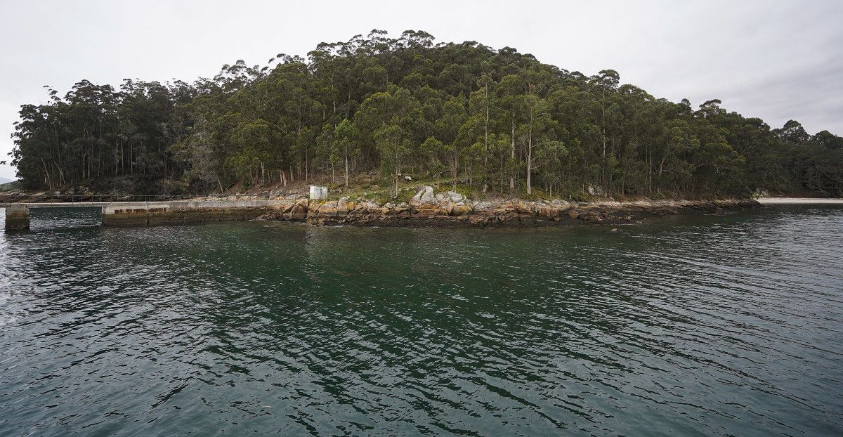 La Isla de Tambo