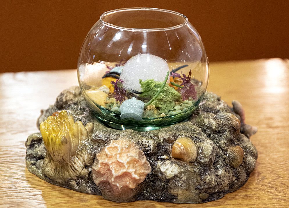 A tapa Mare Nostrum