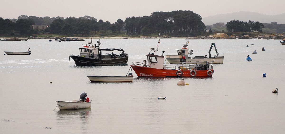 Barcos pesqueros en A Illa de Arousa (archivo)