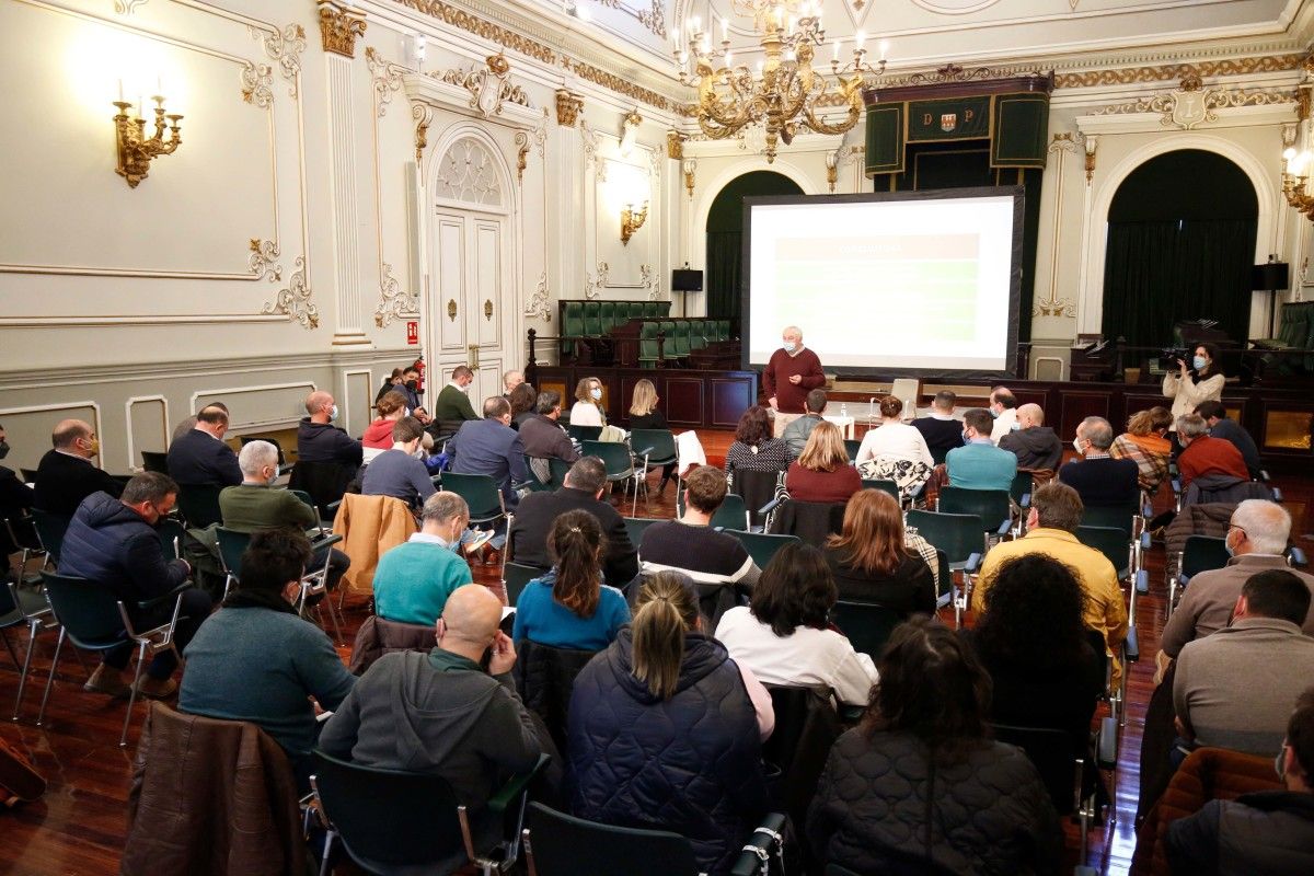 Reunión do Plan Revitaliza na Deputación
