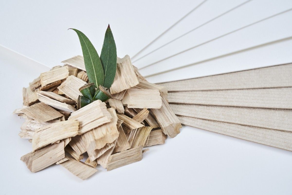 Ence genera energía renovable utilizando biomasa forestal y valoriza los residuos generados por sus biofábricas