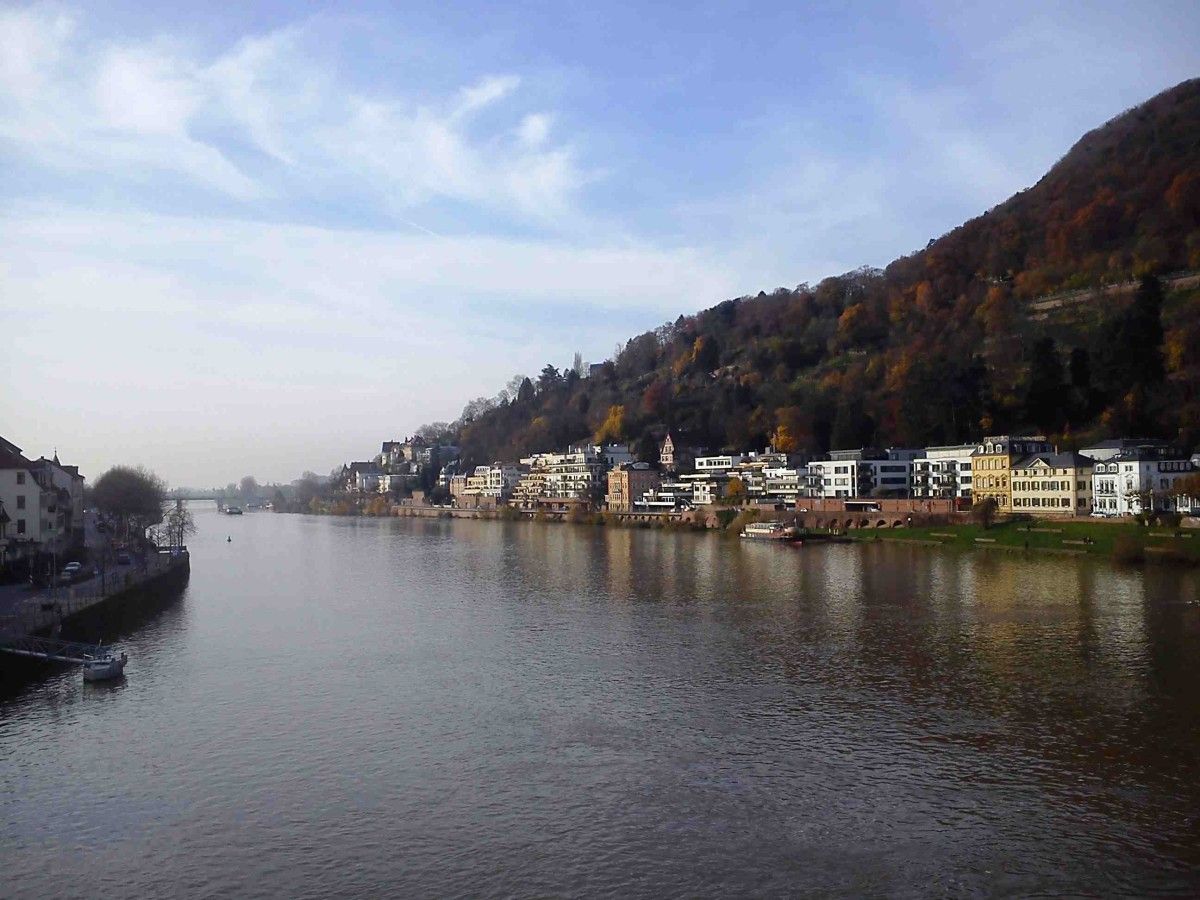 Río Neckar