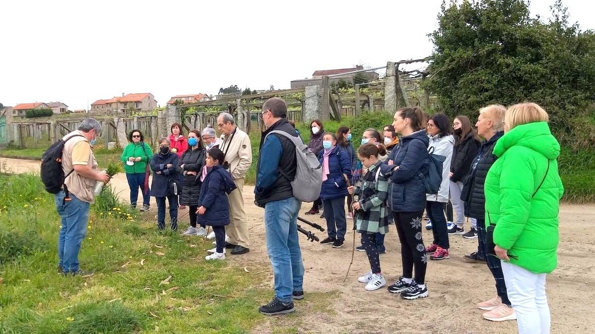Andaina de primavera en Castrelo (Cambados)
