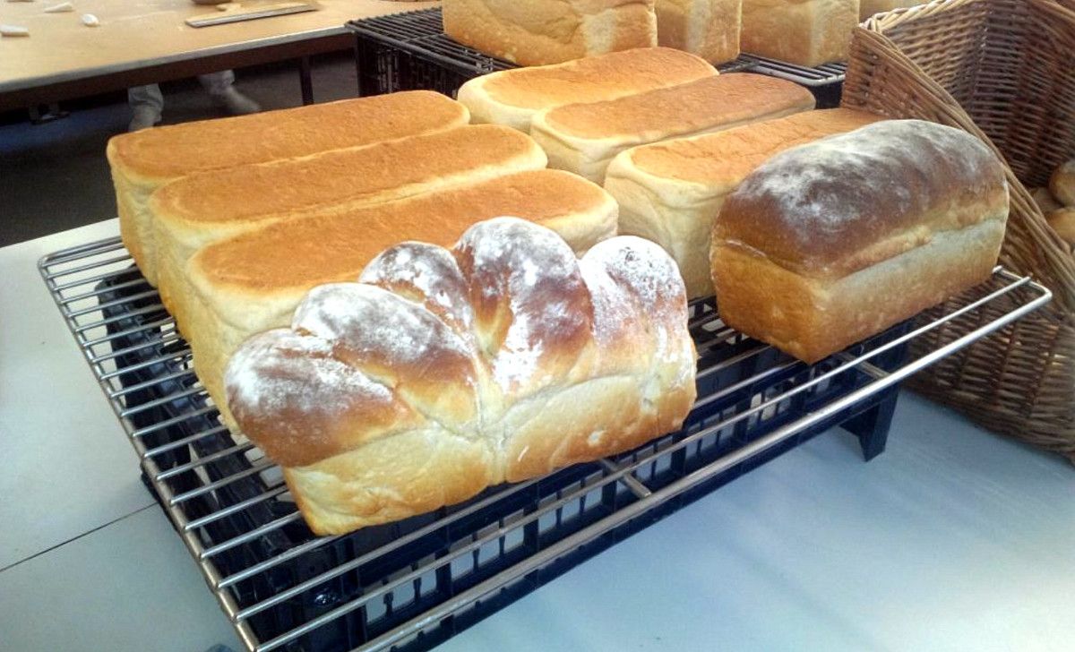 Produtos elaborados con millo galego noutra investigación en que participou a MBG