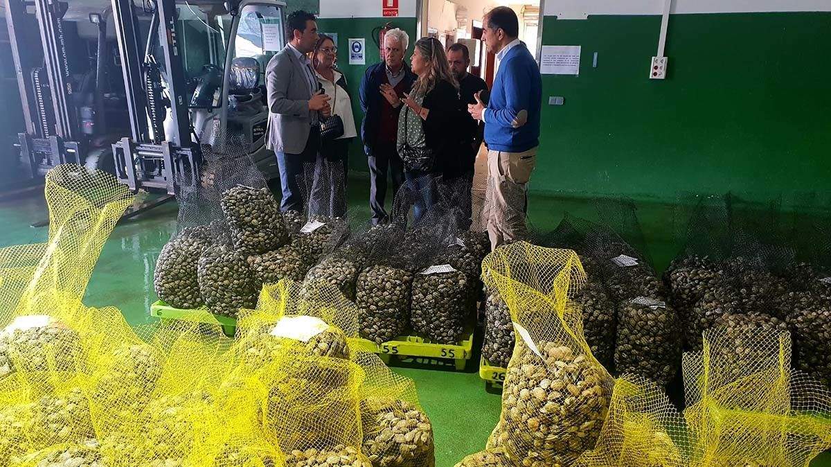 Visita de las autoridades a la lonja de Campelo