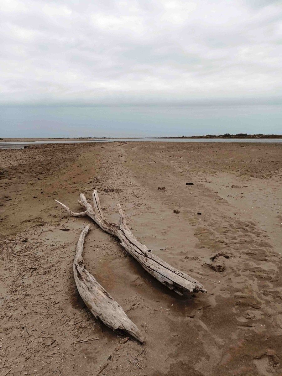 Praia de Riumar