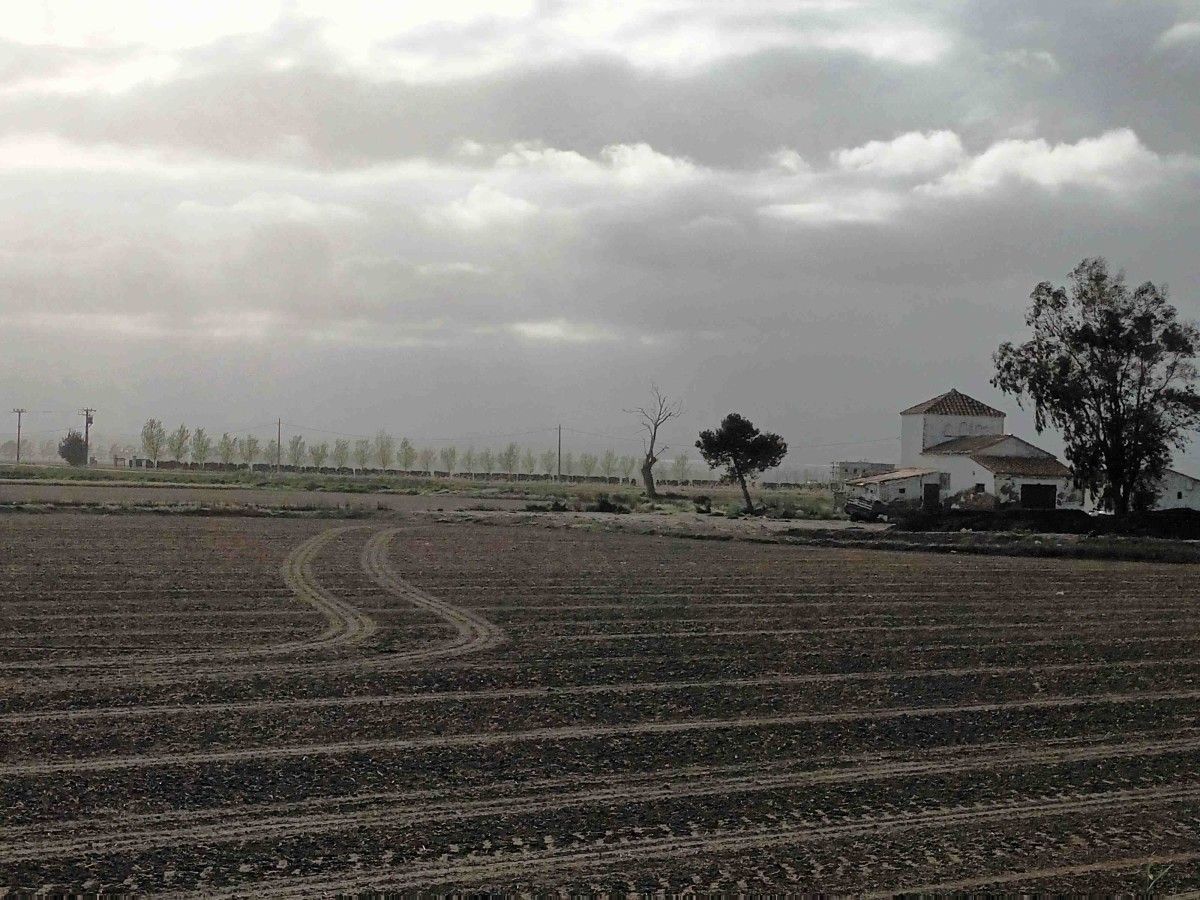 Arrozal preparado para o seu cultivo