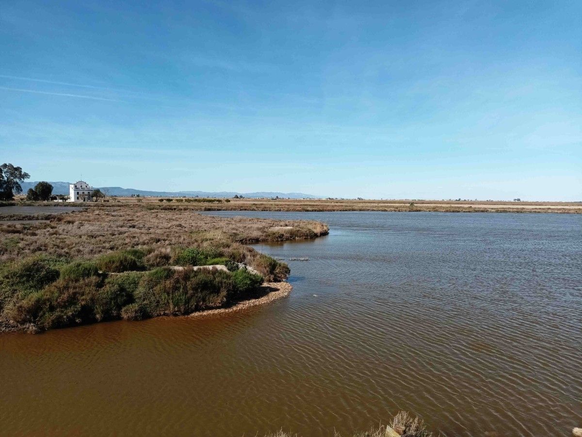 Lagoa de L'Encanyissada