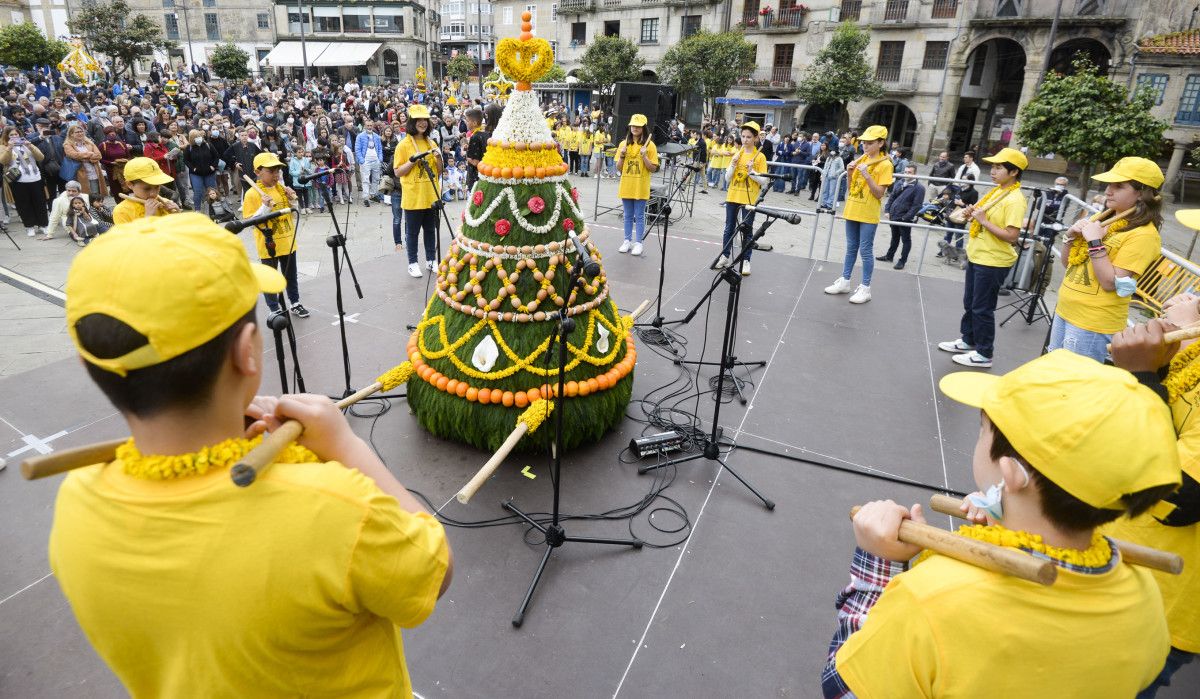 Concurso de 'maios' na Praza da Ferrería de Pontevedra