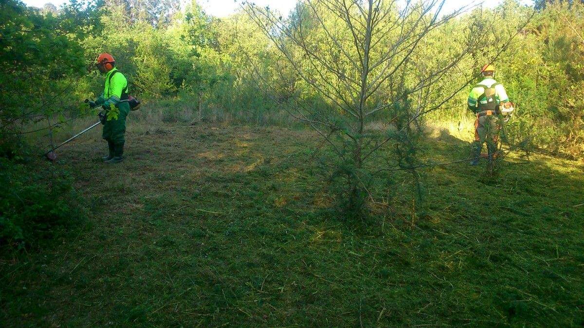 Acometen traballos de limpeza no perímetro do encoro do Umia