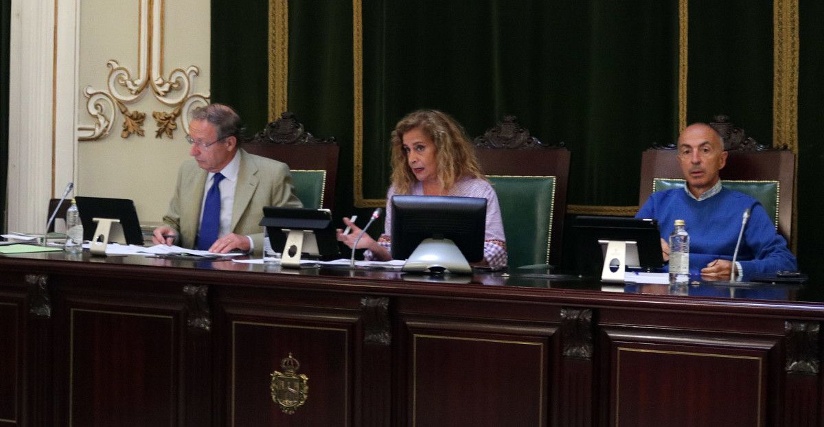 Pleno extraordinario da Deputación de Pontevedra