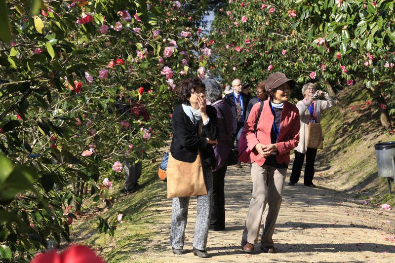 Turistas chineses no Congreso Internacional da Camelia