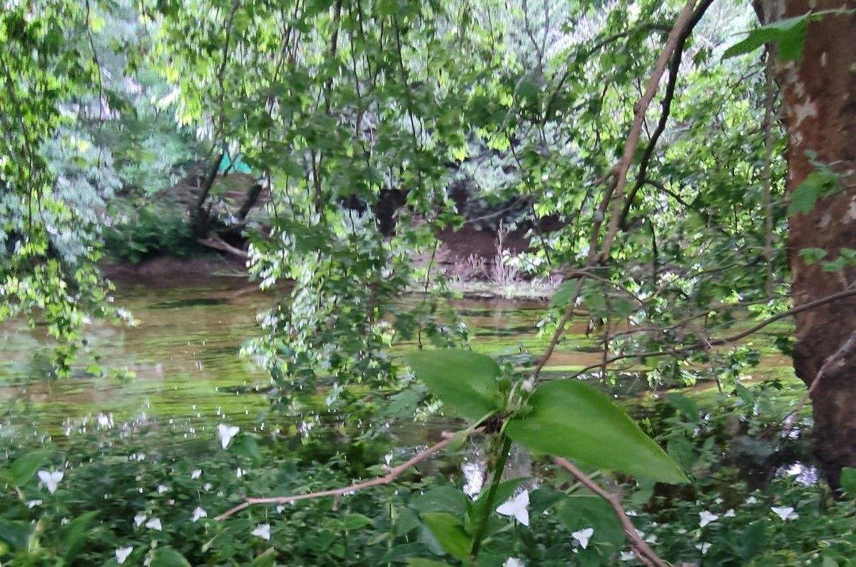 Inspección en el río Umia